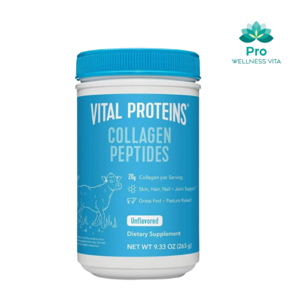 Vital Protein Powder (Small)