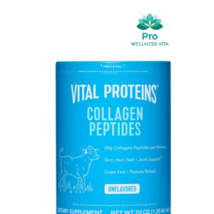 Vital Protein Powder (big size)